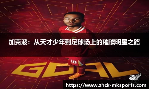 加克波：从天才少年到足球场上的璀璨明星之路